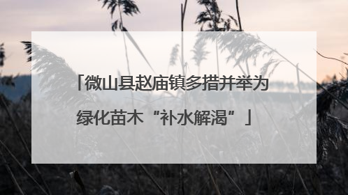 微山县赵庙镇多措并举为绿化苗木“补水解渴”